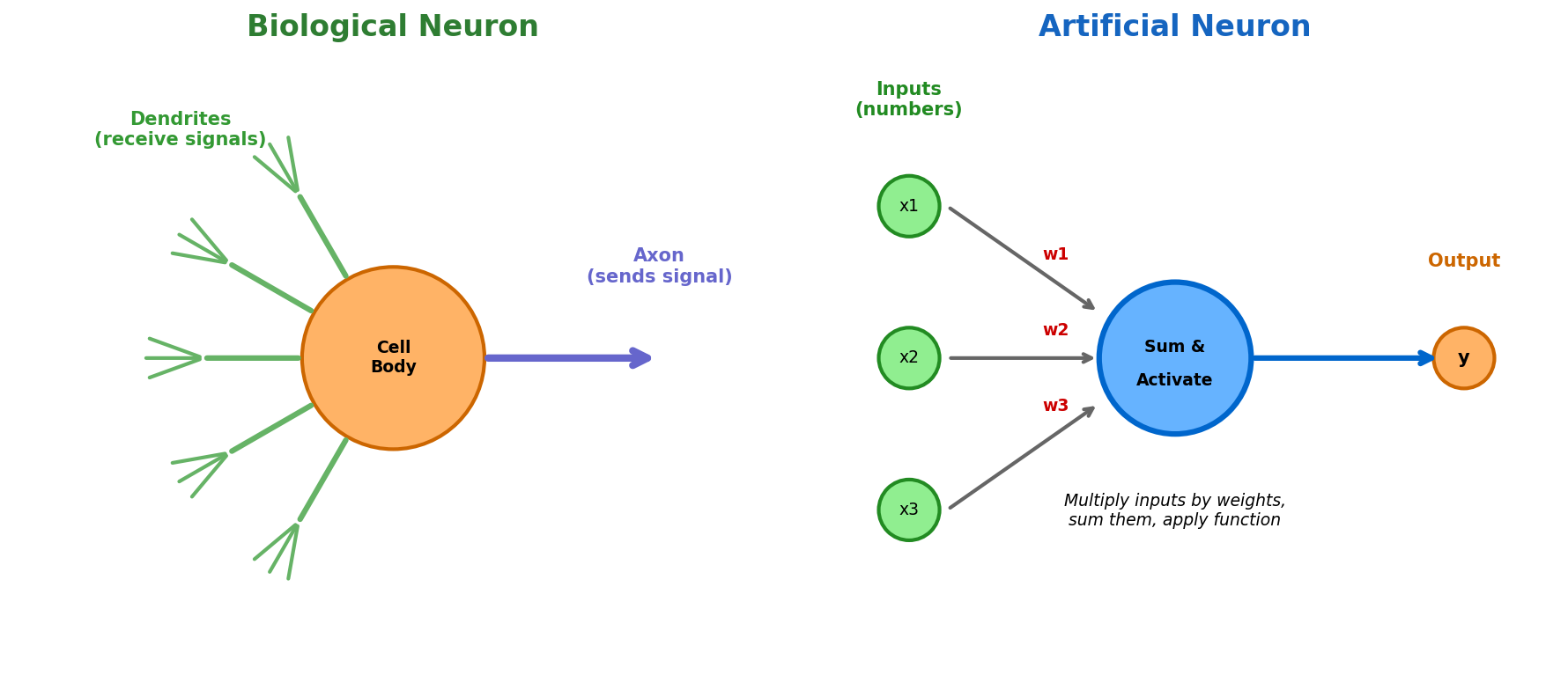 Biological vs Artificial Neuron