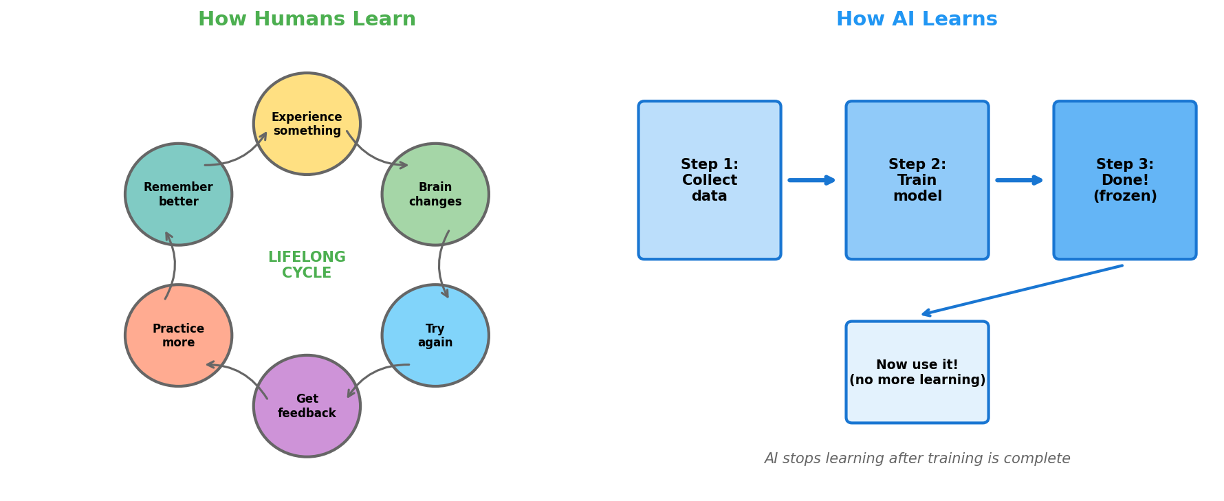 How Humans Learn vs How AI Learns